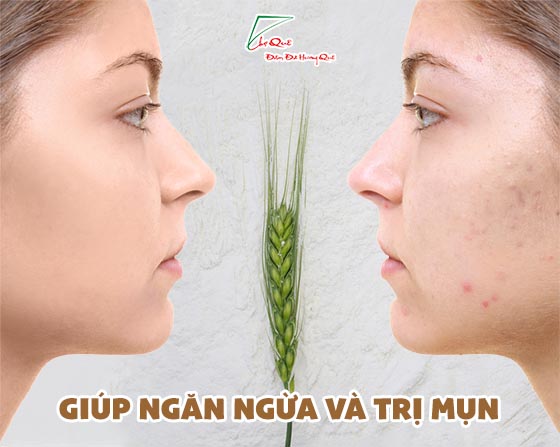 Tác dụng của bột yến mạch